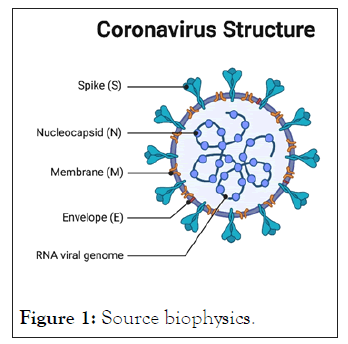 internal-biophysics