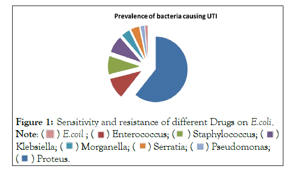 internal-medicine-enterococcus