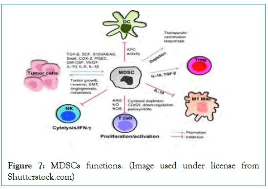 internal-medicine-functions