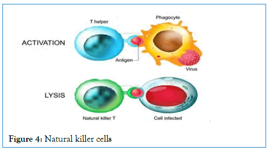 internal-medicine-killer