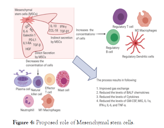 internal-medicine-mesenchymal