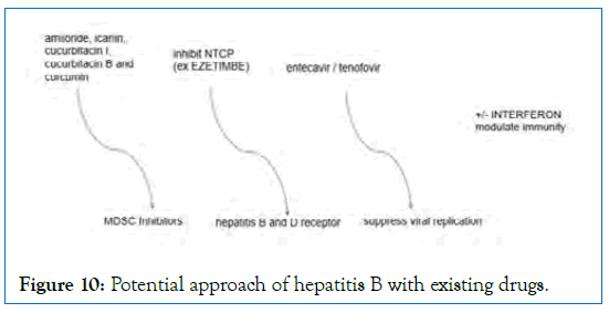 internal-medicine-potential