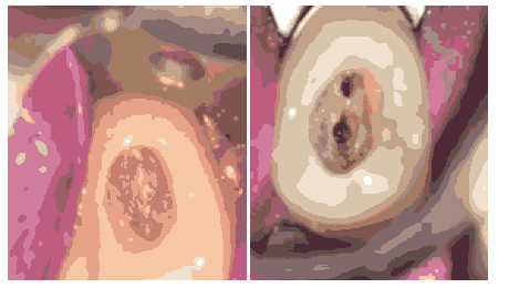 journal-research-microscopic journal-research-microscopic