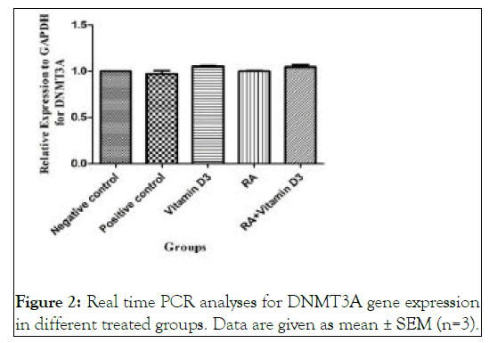 leukemia-analyses