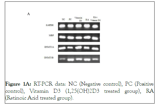 leukemia-negative