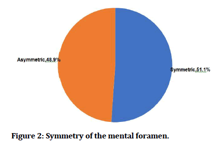 medical-dental-Symmetry-foramen