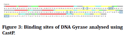 medical-dental-science-Binding-sites