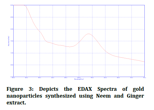 medical-dental-science-EDAX-Spectra