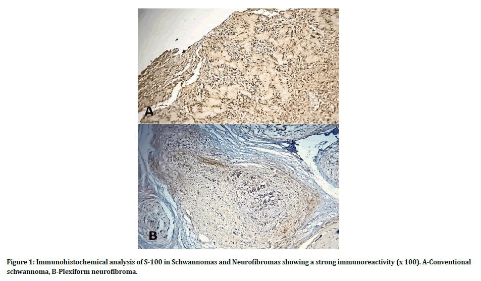 medical-dental-science-Immunohistochemical