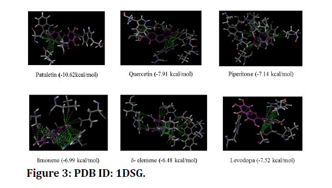 medical-dental-science-PDB-ID-1DSG