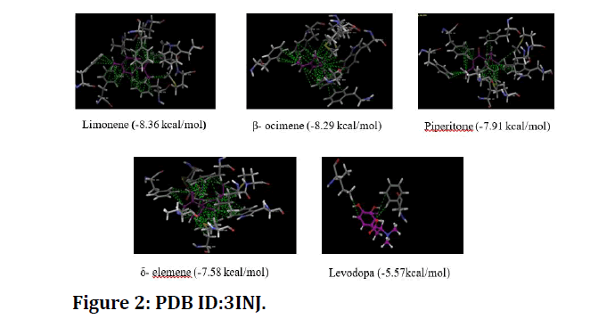 medical-dental-science-PDB-ID-3INJ