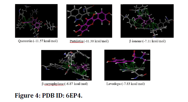 medical-dental-science-PDB-ID-6EP4