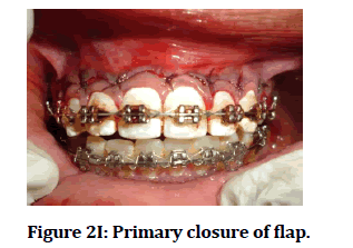 medical-dental-science-Primary