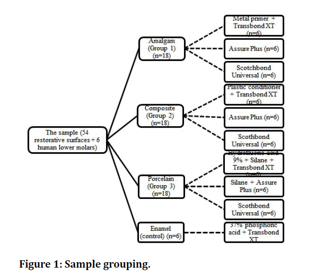 medical-dental-science-Sample-grouping