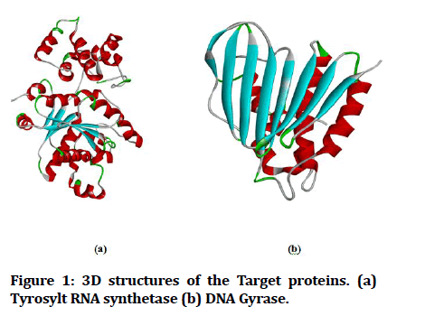 medical-dental-science-Target-proteins