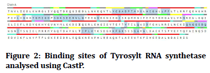 medical-dental-science-Tyrosylt-synthetase