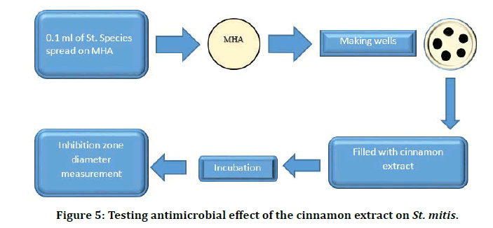 medical-dental-science-cinnamon-extract