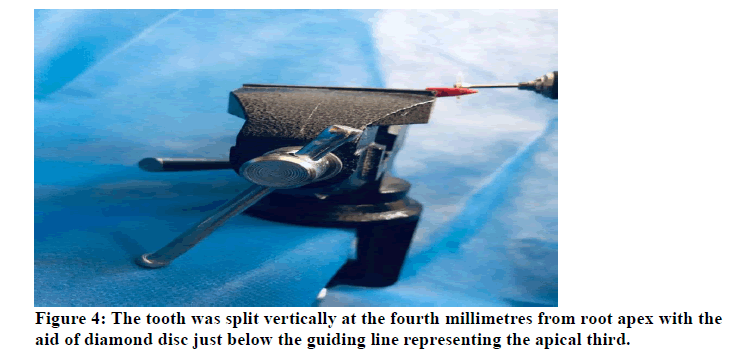 medical-dental-science-fourth-millimetres