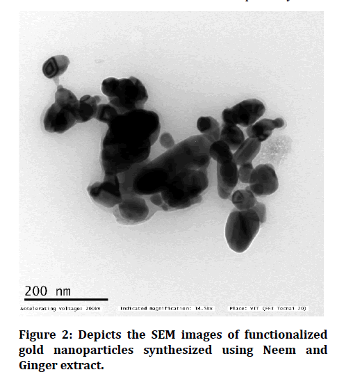 medical-dental-science-gold-nanoparticles