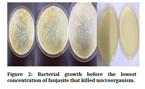 medical-dental-science-killed-microorganism