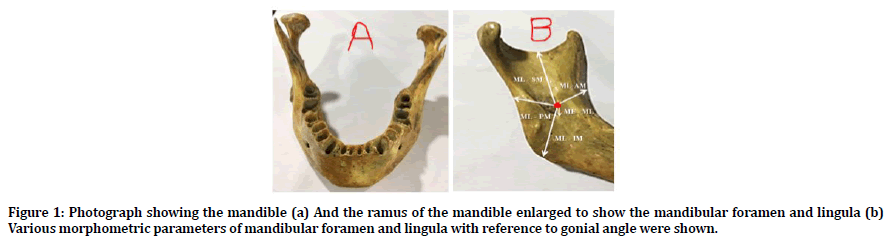 medical-dental-science