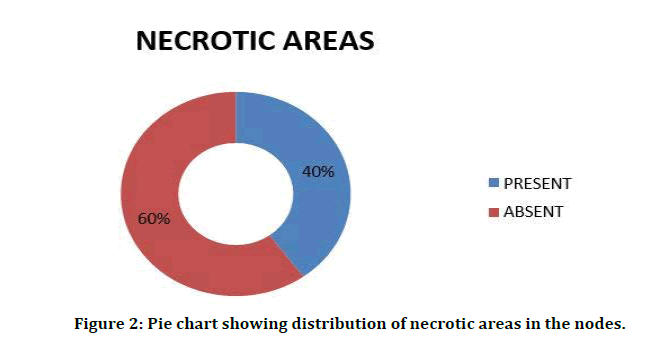 medical-dental-science-necrotic-areas