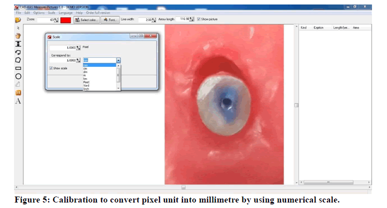 medical-dental-science-numerical-scal