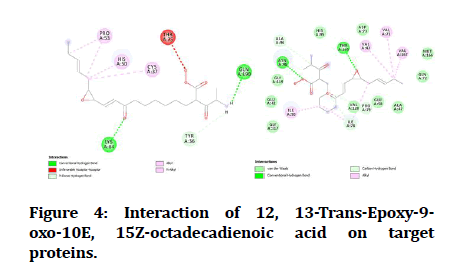 medical-dental-science-octadecadienoic-proteins