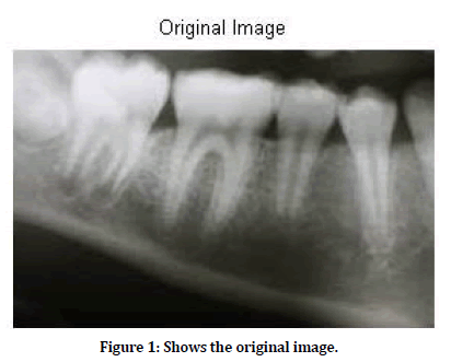 medical-dental-science