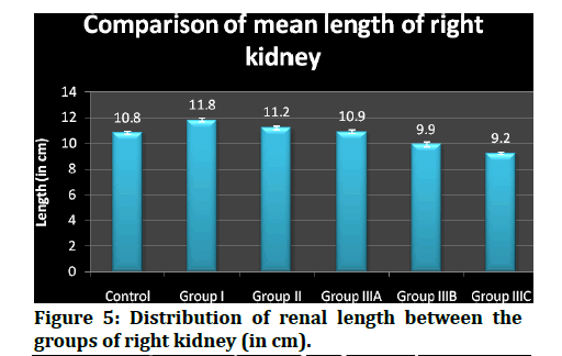 medical-dental-science-renal-length