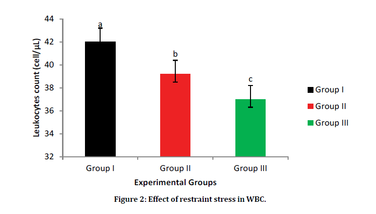 medical-dental-science-restraint-stress