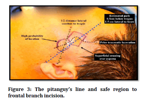 medical-dental-science-safe-region