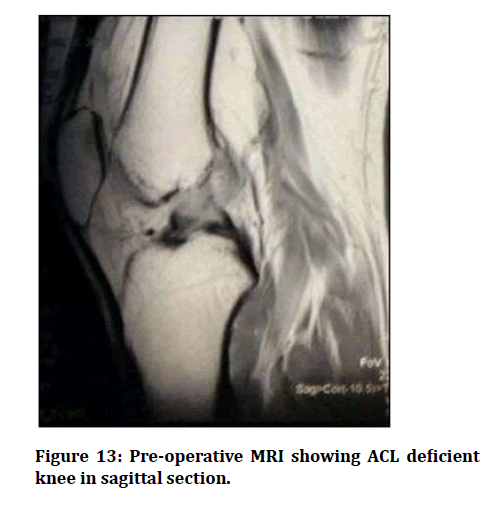 medical-dental-science-sagittal-section