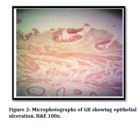 medical-dental-science-showing-epithelial