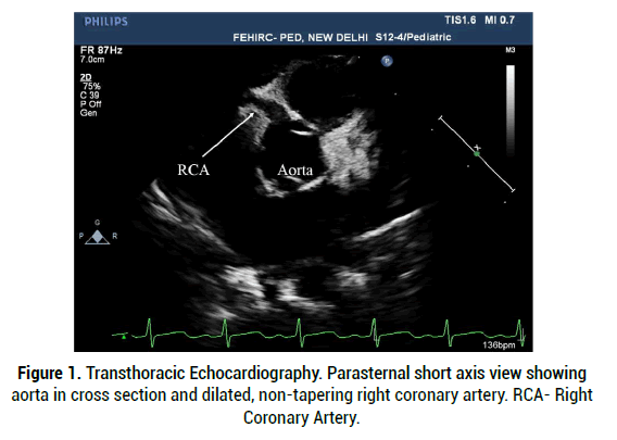 medical-reports-Transthoracic