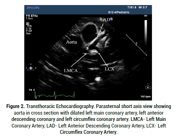 medical-reports-Transthoracic