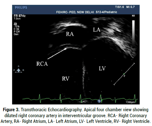 medical-reports-Transthoracic