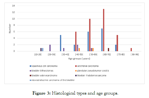 medical-surgical-urology-groups