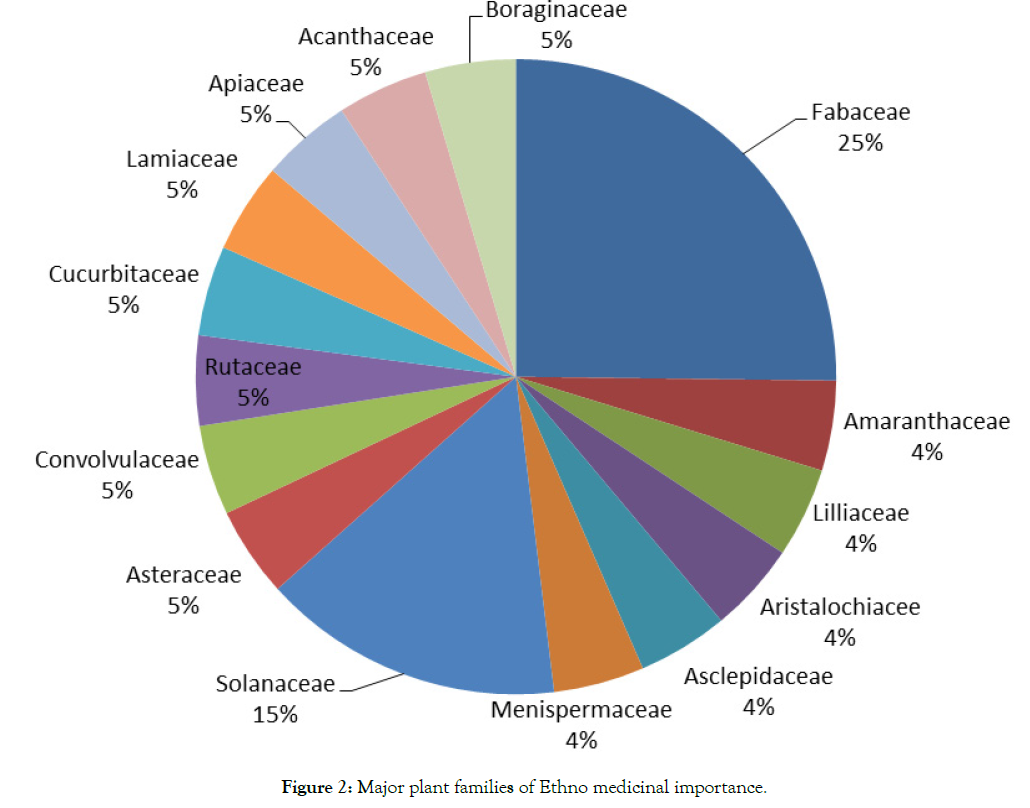 medicinal-aromatic-plants-plant-families