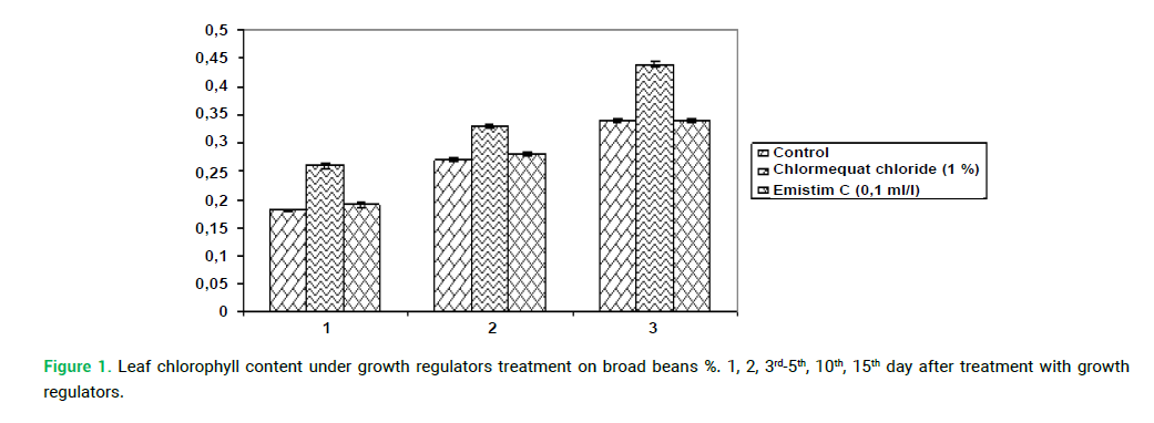 modern-phytomorphology-broad-beans