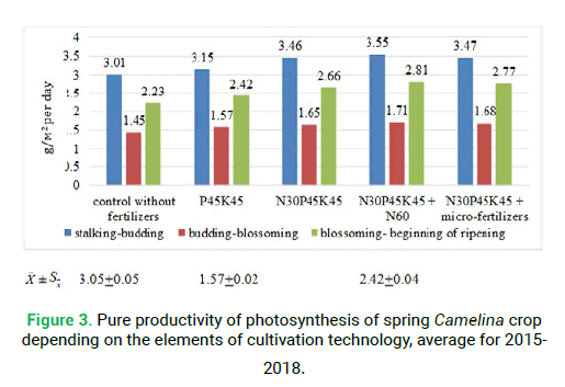 modern-phytomorphology-cultivation-technology