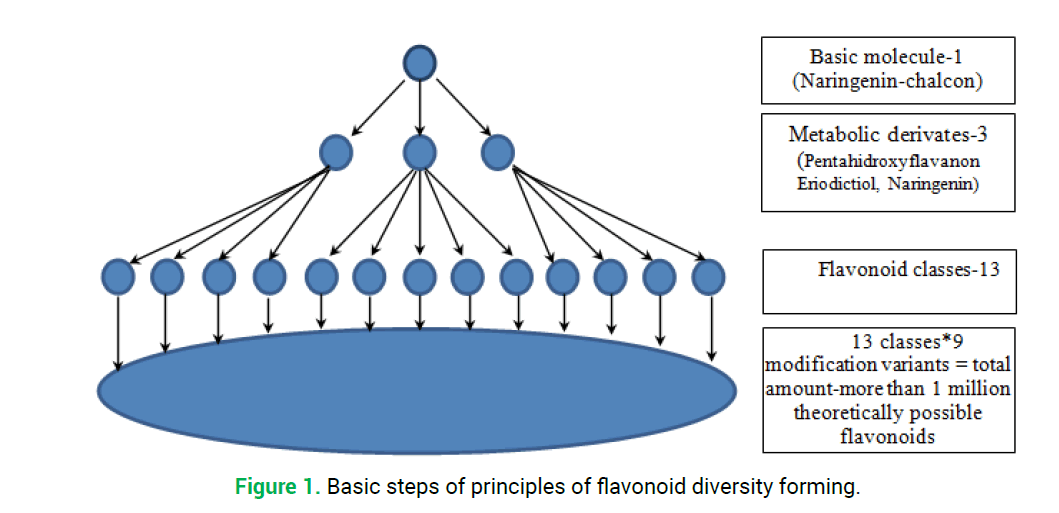 modern-phytomorphology-diversity-forming