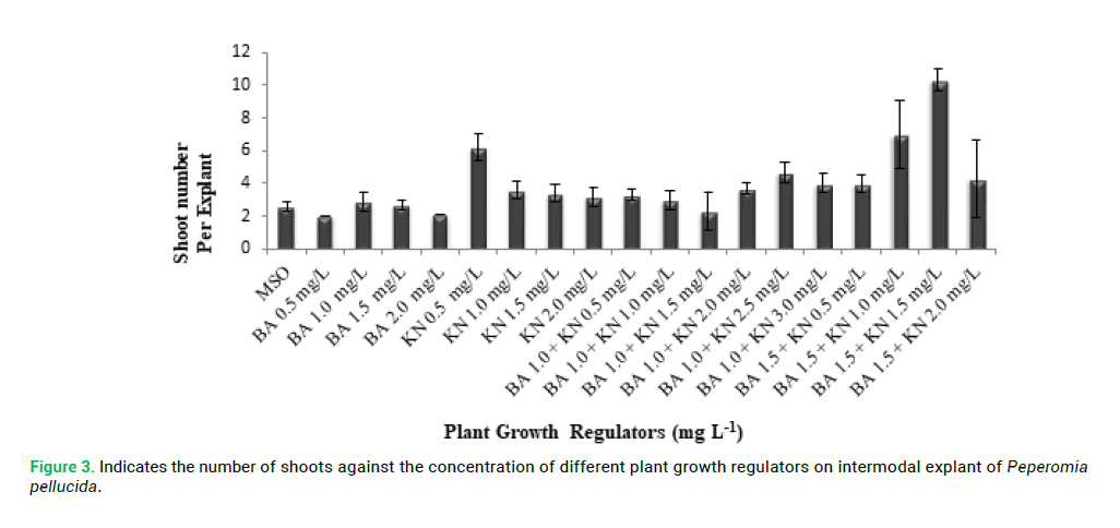 modern-phytomorphology-plant-growth
