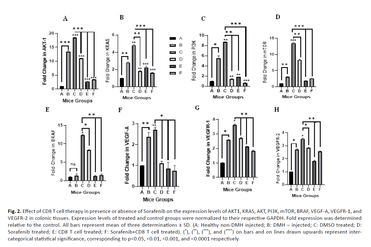 oncology-radiotherapy-expression-levels