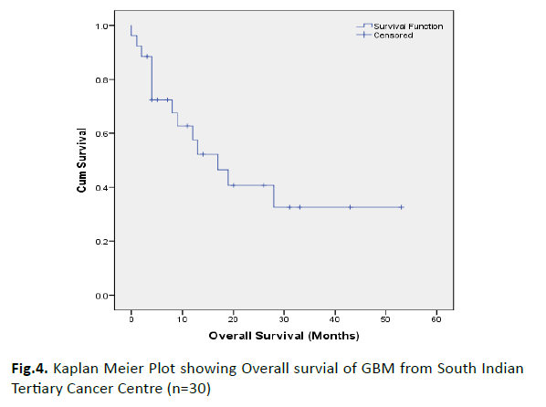 oncology-radiotherapy-kaplan-meier