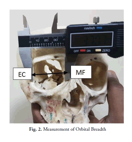 oncology-radiotherapy-orbital-Breadth