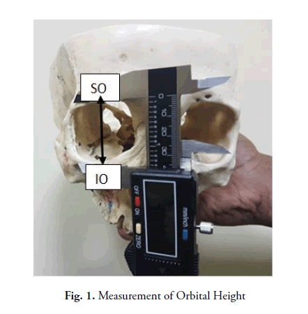 oncology-radiotherapy-orbital-height