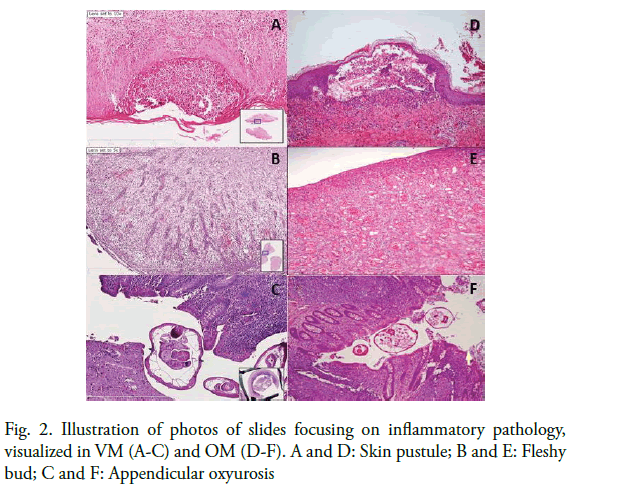 oncology-radiotherapy-slides-focusing