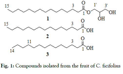 organic-chemistry-current-fruit