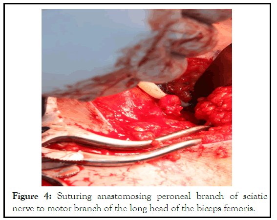 physical-medicine-anastomosing